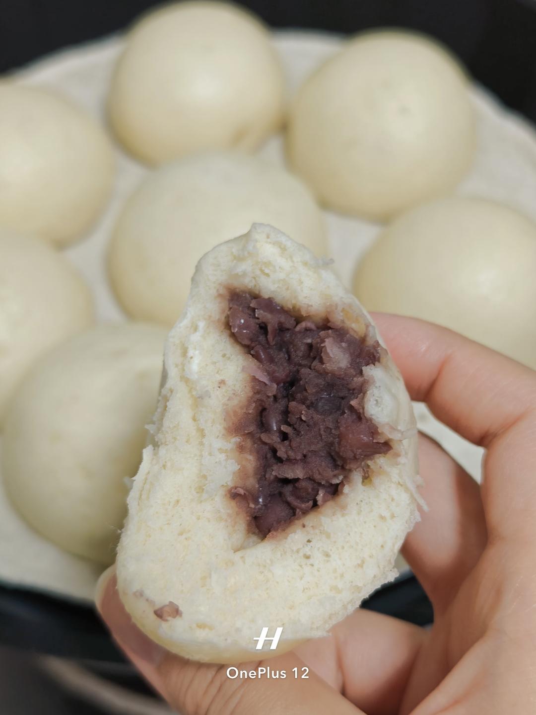 超好吃有豆豆的豆沙包，一次发酵（红豆包）