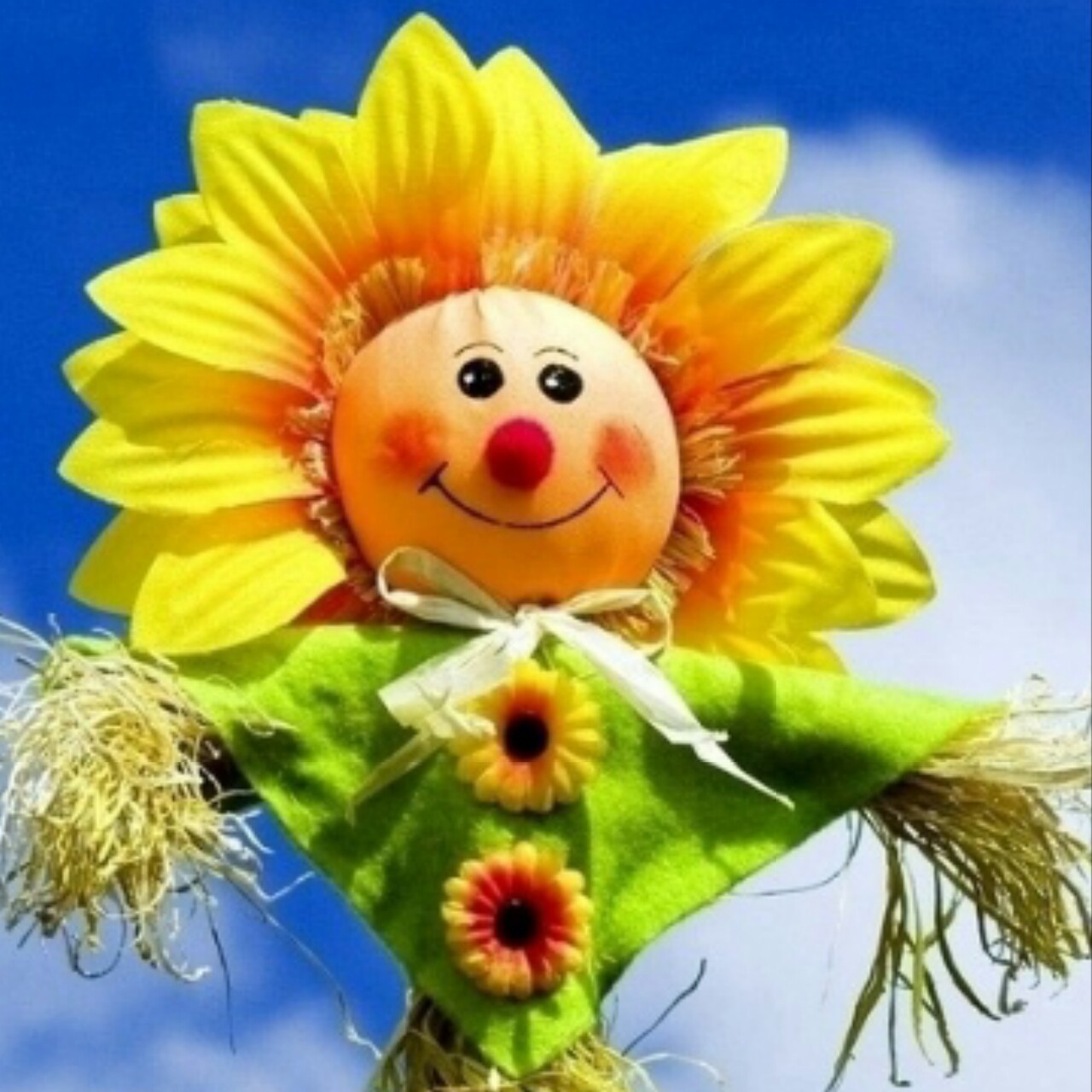 追幸福的太阳花