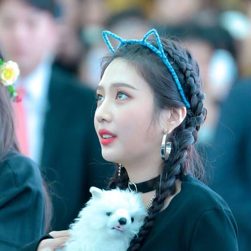我的脑袋坏掉了