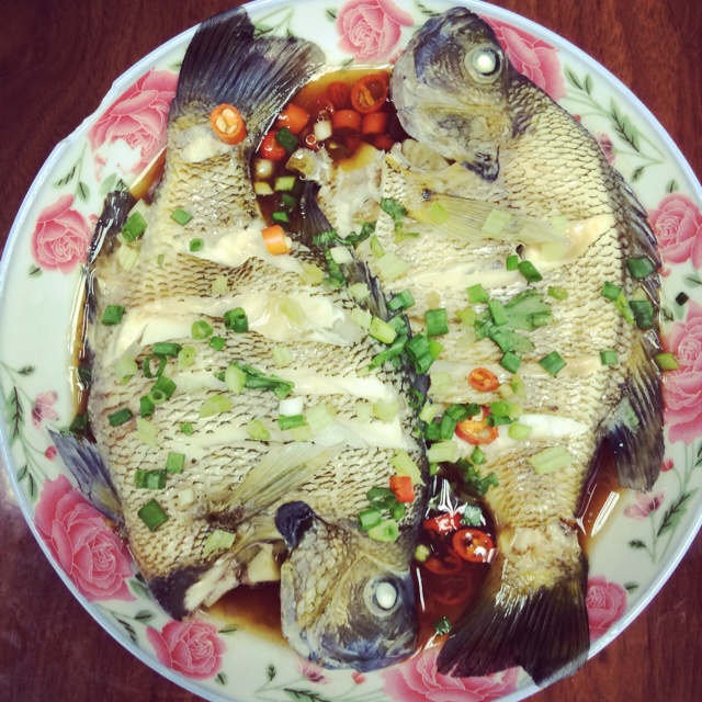 家常菜 清蒸鱼 sherlocked-2做的清蒸鱼 赞 鱼,蒸鱼豉油,植物油,料酒