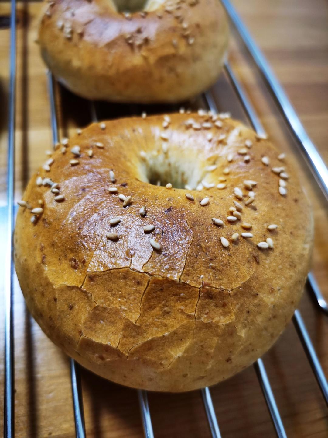 全麦贝果🥯