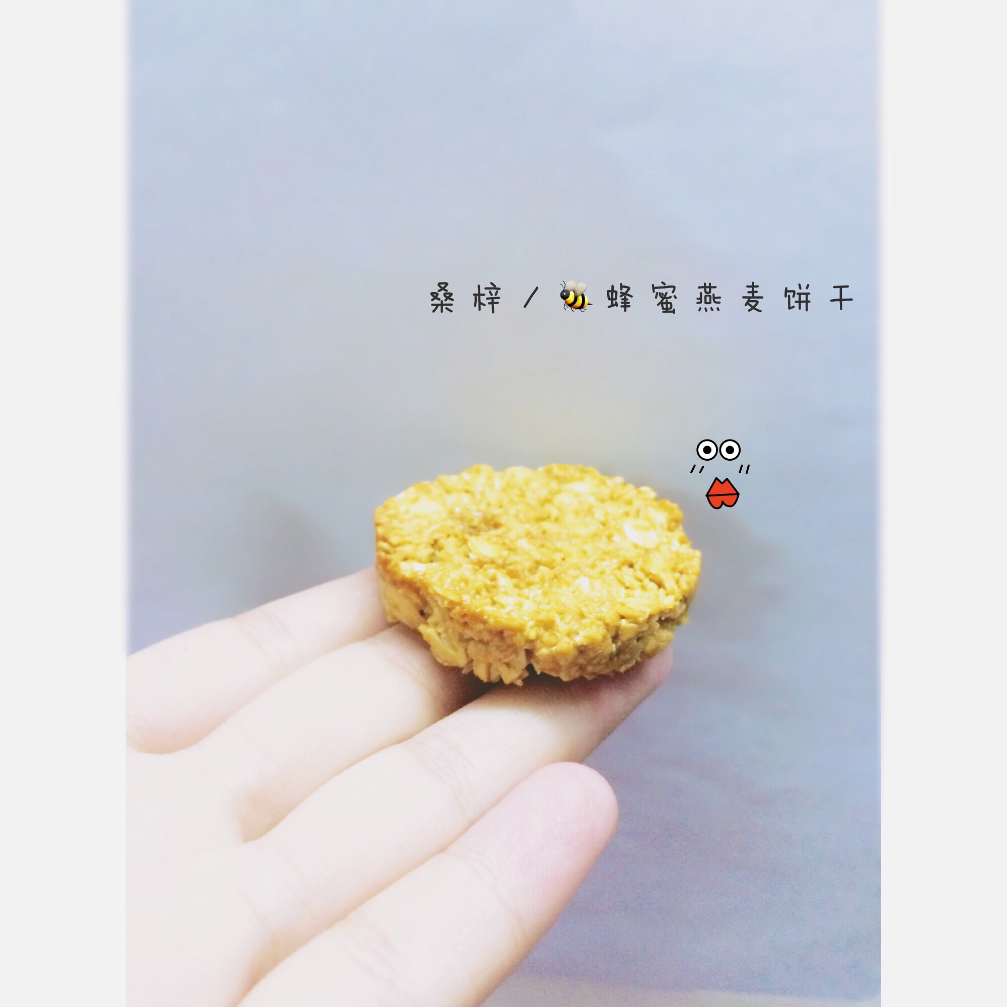 蜂蜜燕麦饼干
