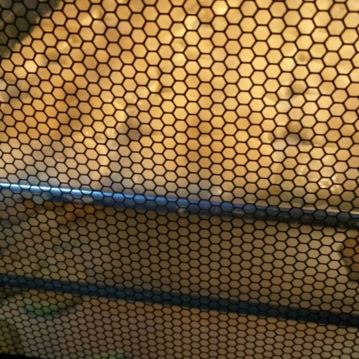 改良版蔓越梅饼干