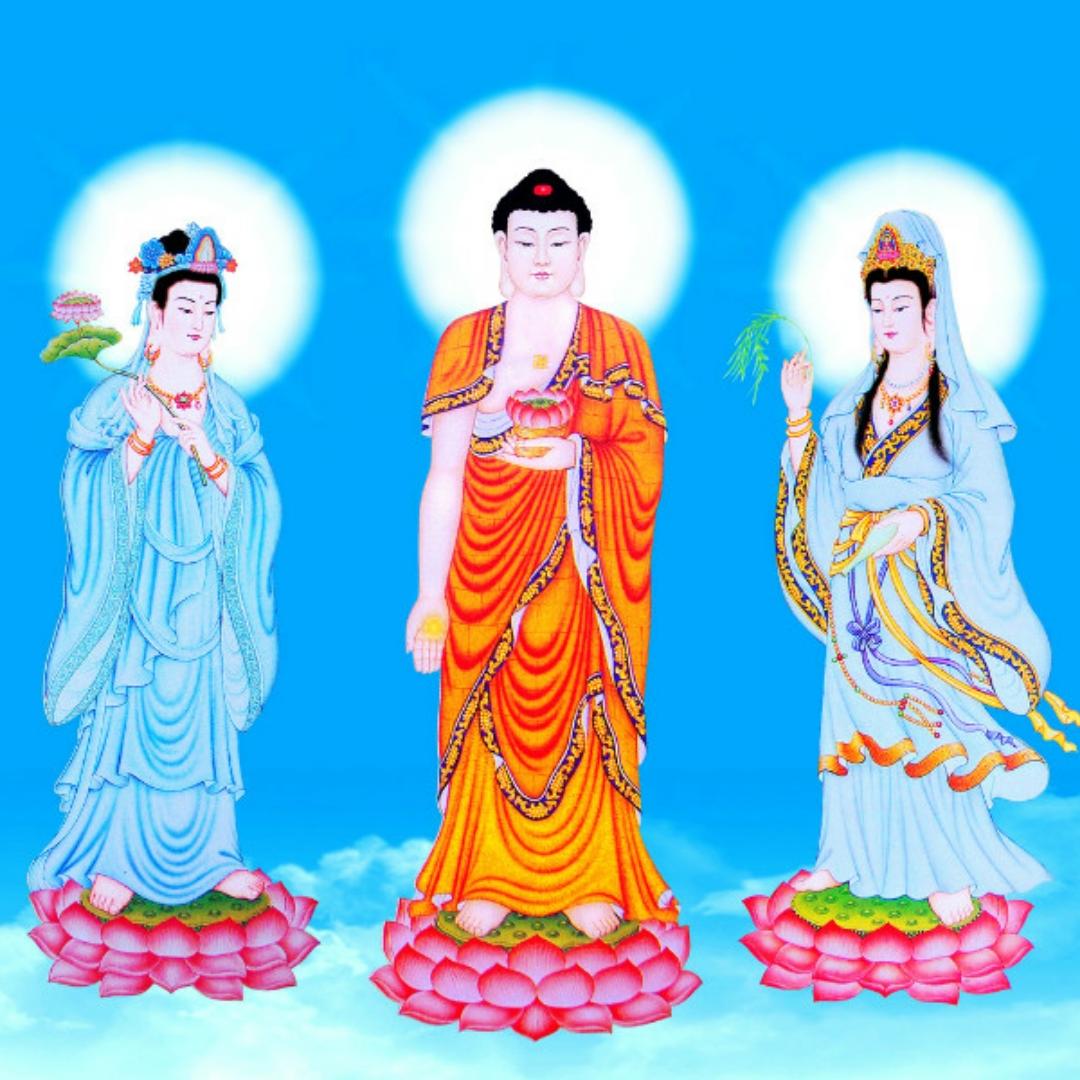 莫执1