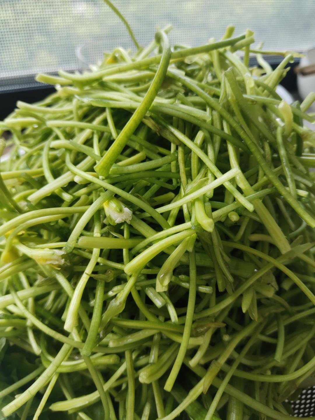 凉拌海菜/水性杨花