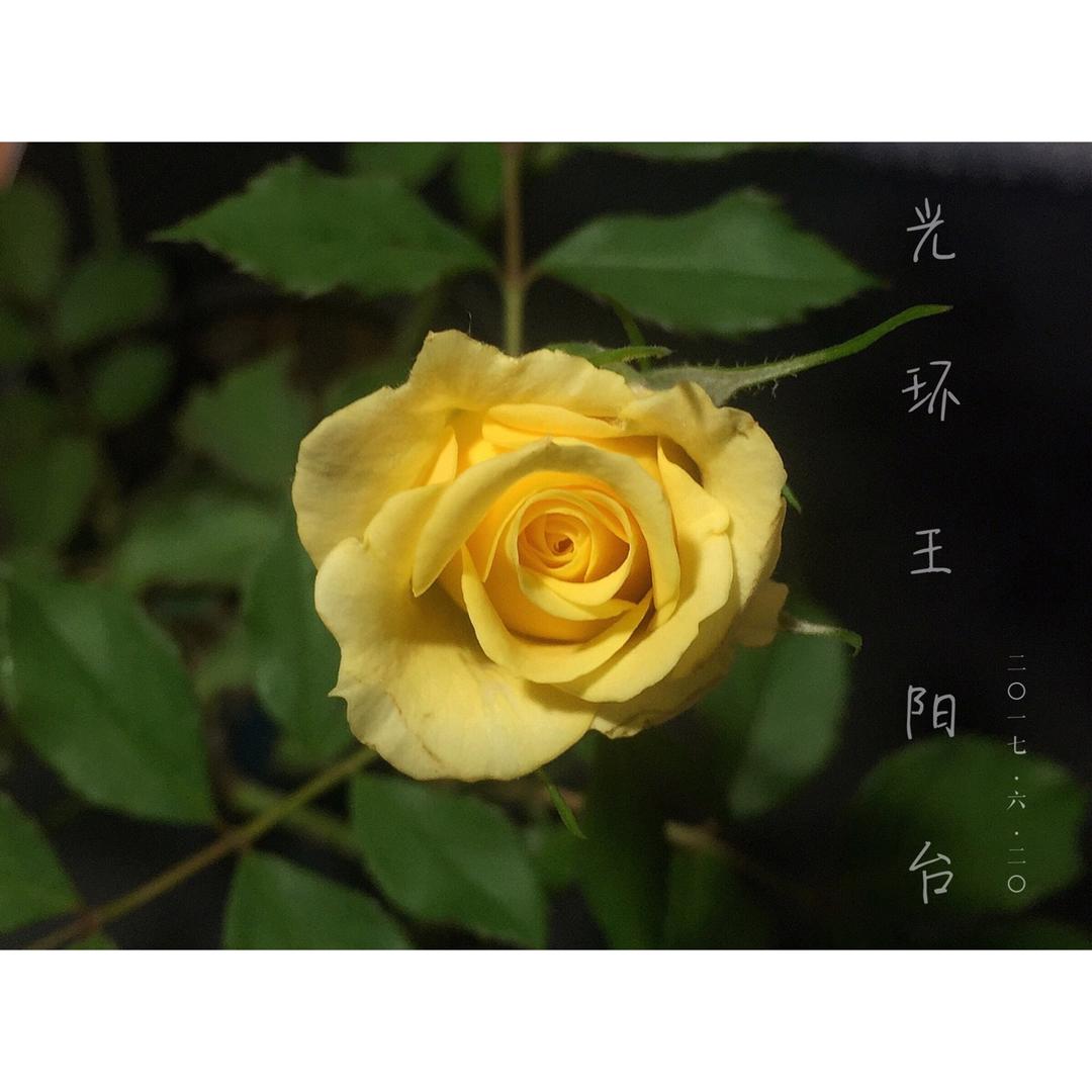 小记录噔噔噔٩꒰⍢ ꒱۶