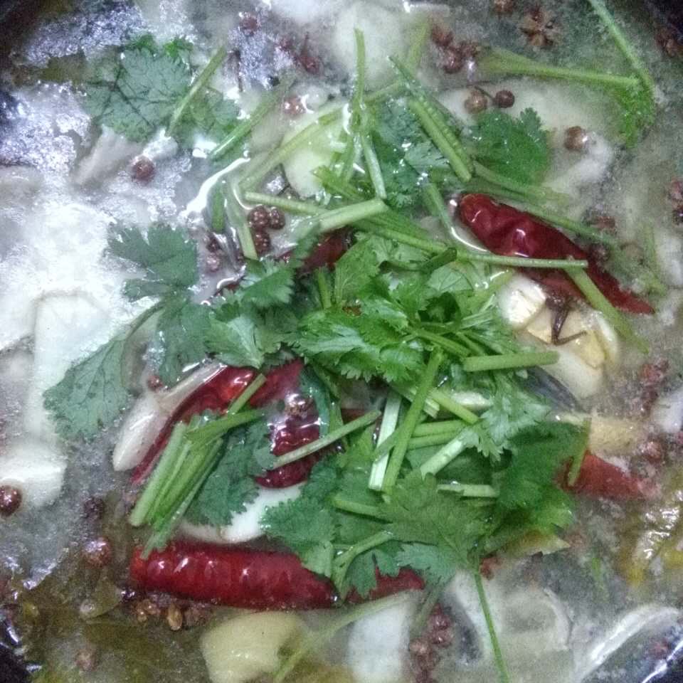 酸菜鱼