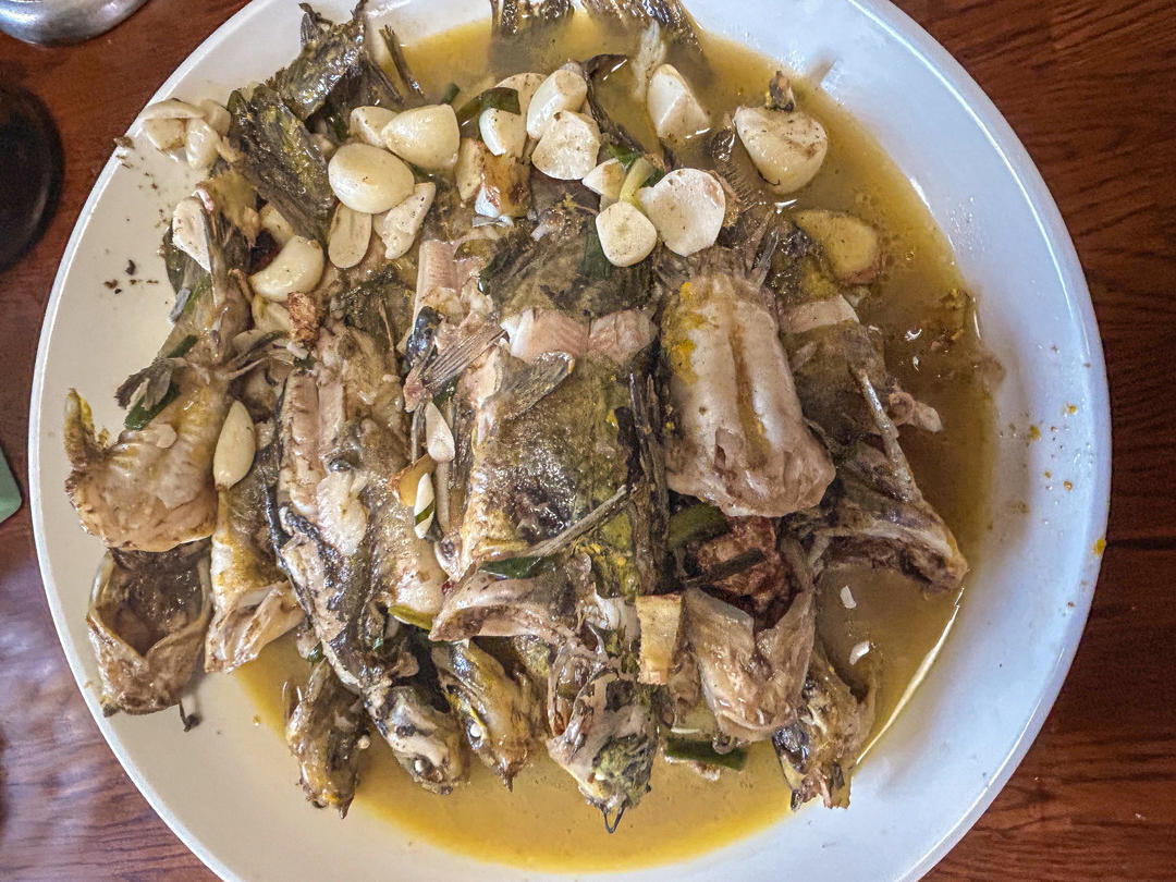 红烧昂刺鱼(家庭版)