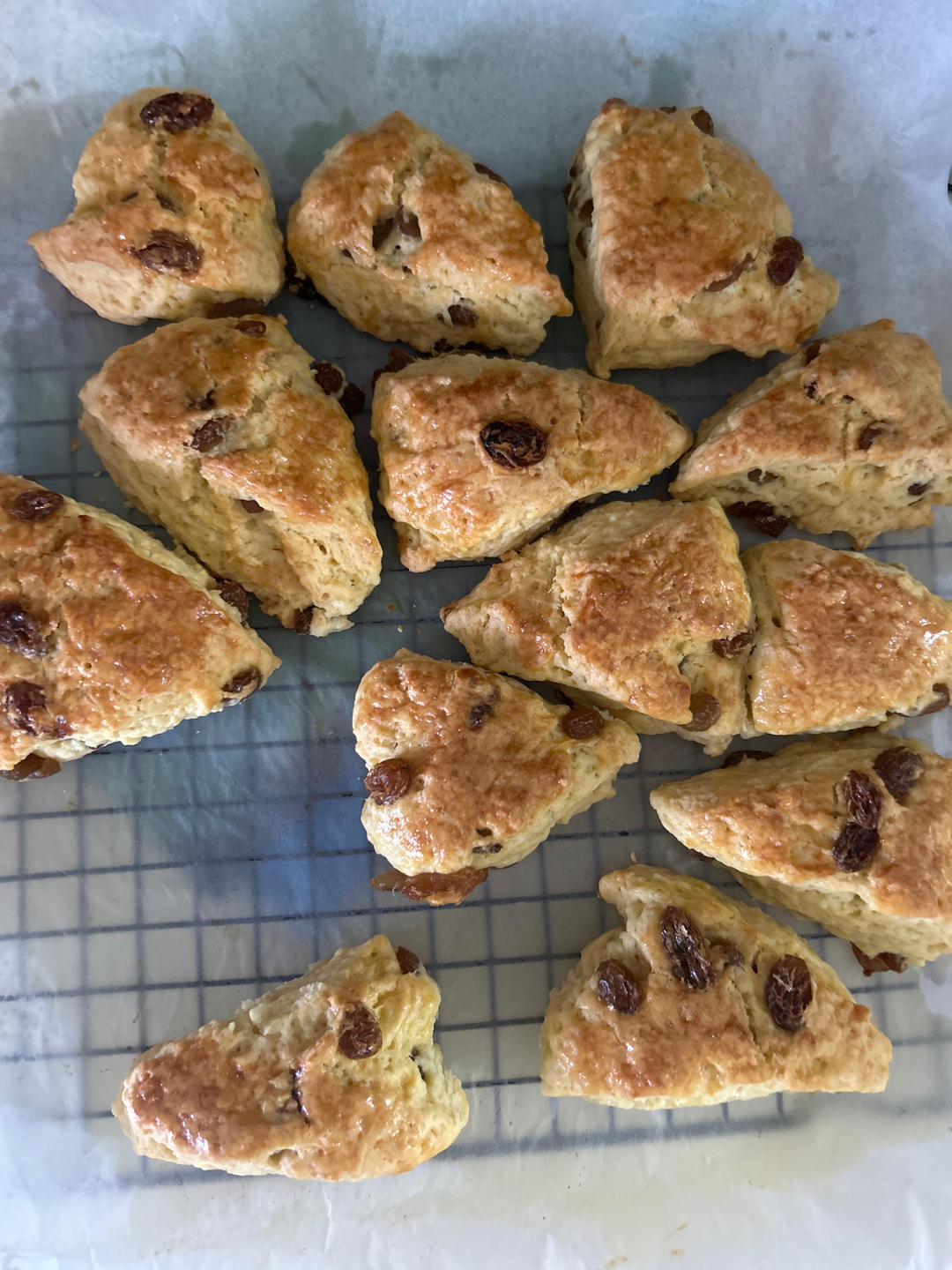 完胜星巴克的超美味酥脆司康 super easy crunched scone