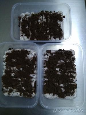 奥利奥盐奶油盒子蛋糕的做法 步骤10