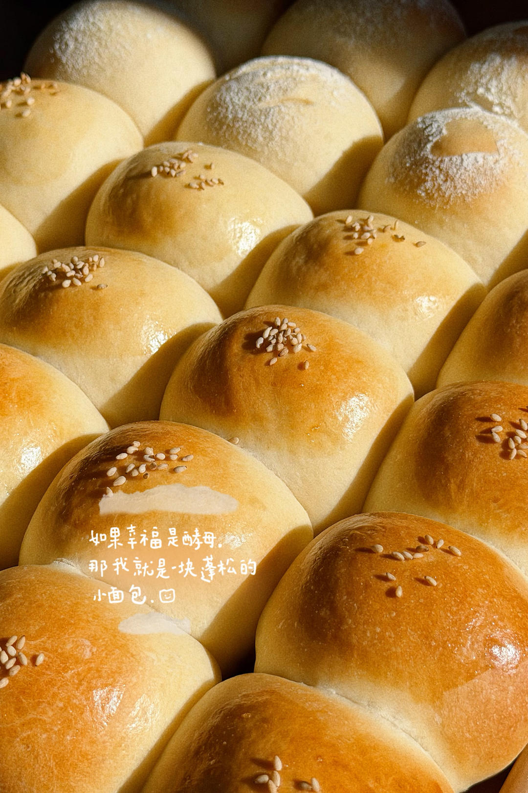 放3天也一样柔软的豆沙小餐包，好吃到哭