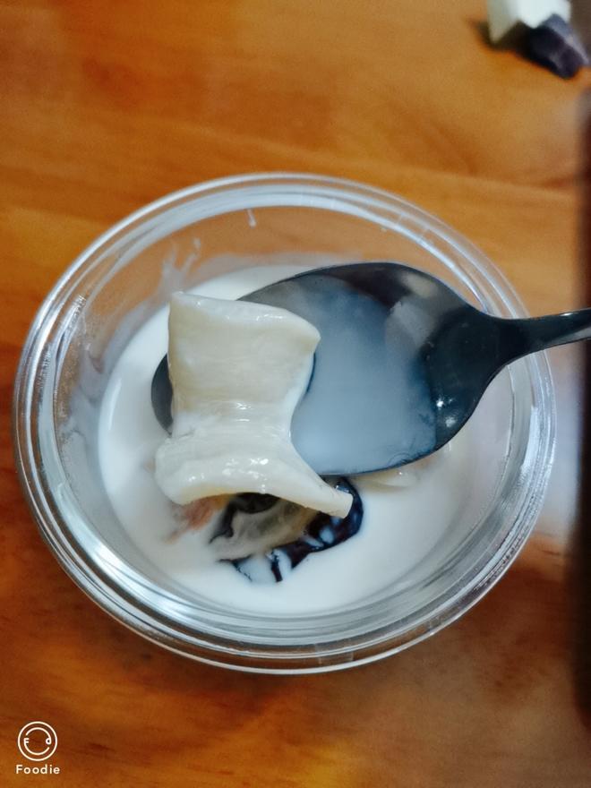 花胶炖奶的做法