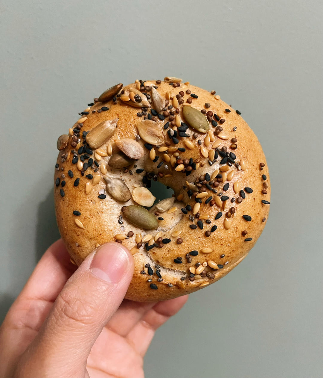 多种子谷物全麦贝果🥯健康低卡｜快手无需手套膜