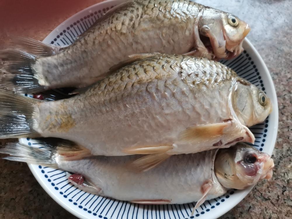 清热祛湿•棉茵陈赤小豆土茯苓鲫鱼汤的做法 步骤2