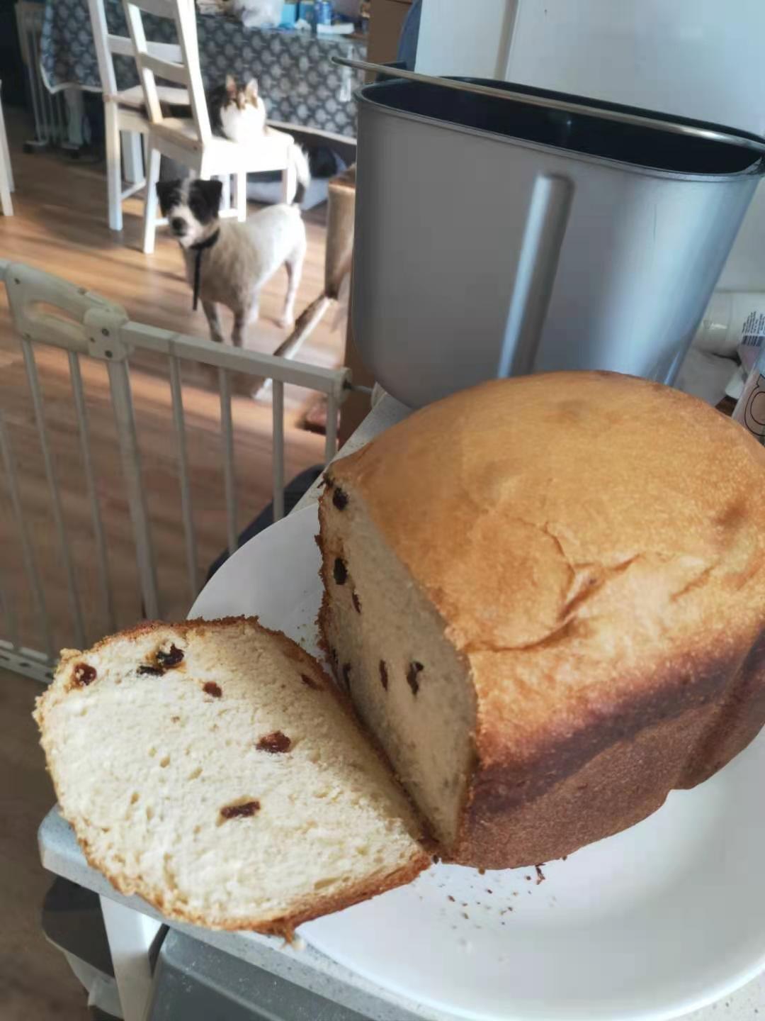 松下面包机软吐司