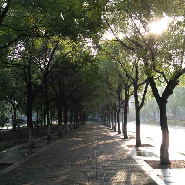 宋小厨88