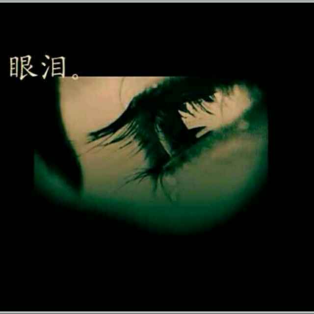 洋宸baby