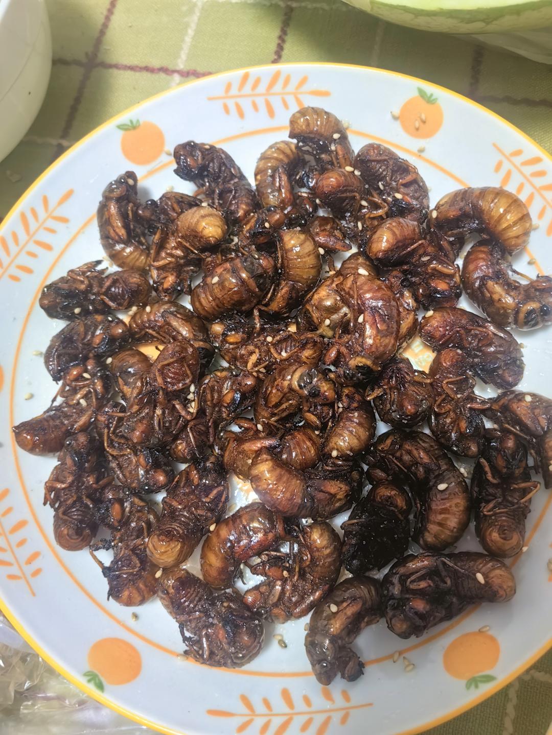 油炸金蝉