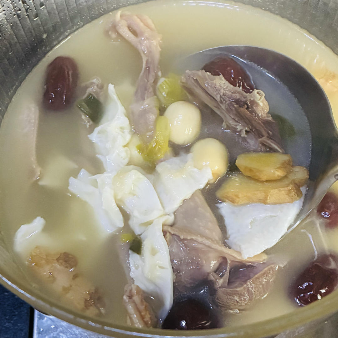 气血双补鸽子汤