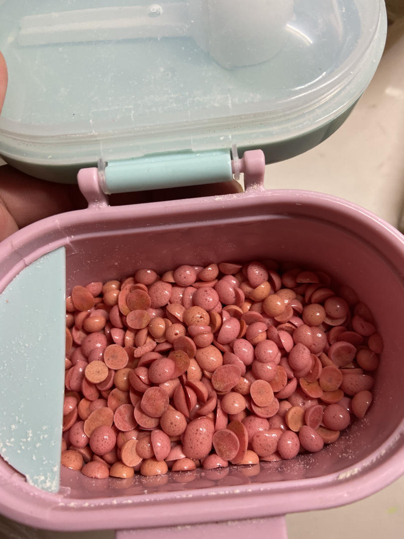 入口即化火龙果蛋黄溶豆《六个月以上婴幼儿辅食零食》果蔬溶豆！无淀粉无糖简单配方  更新