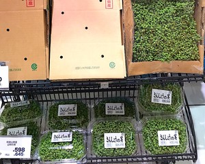 青山椒酱油 山椒果的处理方法 的做法步骤图 文美厨房 下厨房 青山椒酱油 山椒果的处理方法 的做法步骤图 文美厨房 下厨房