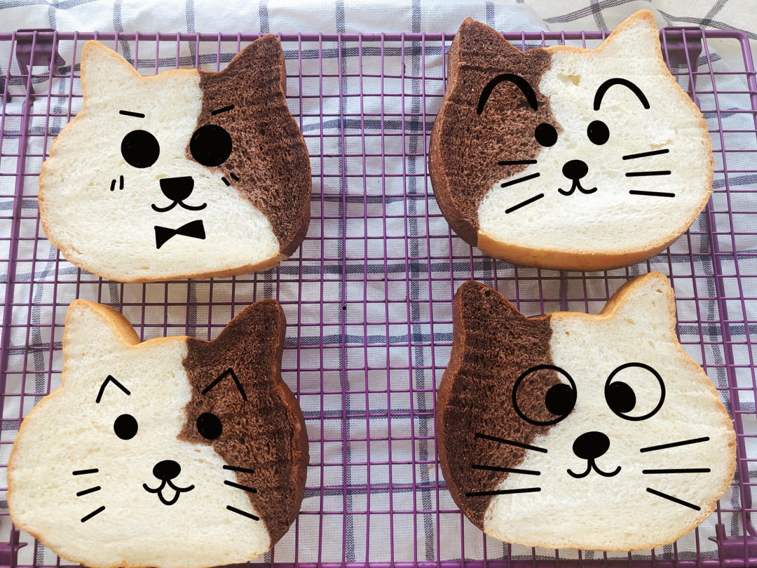 网红大猫猫头面包