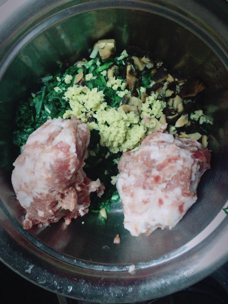 家常饺子馅（韭菜）