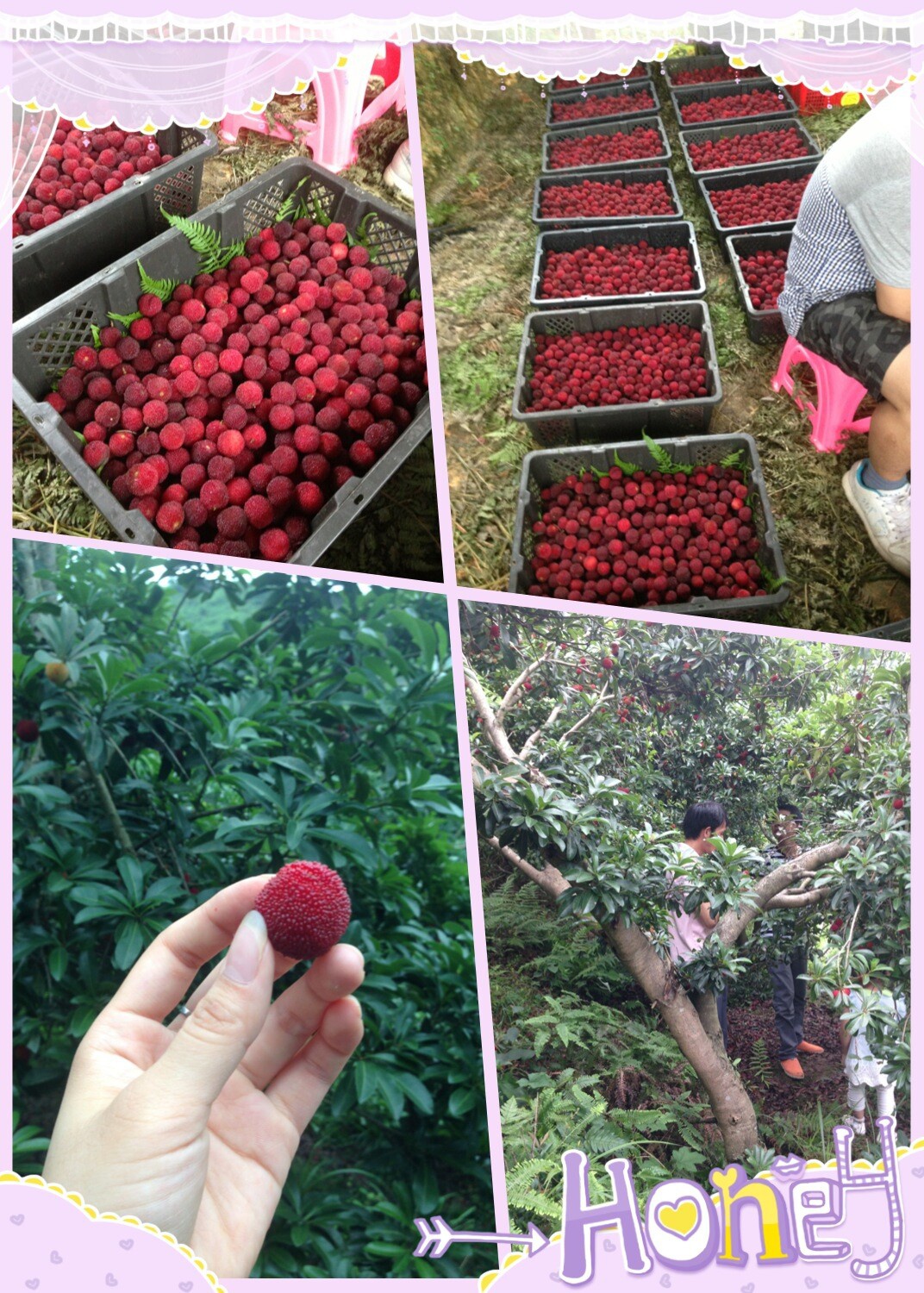 雨霏妈妈滴小天地