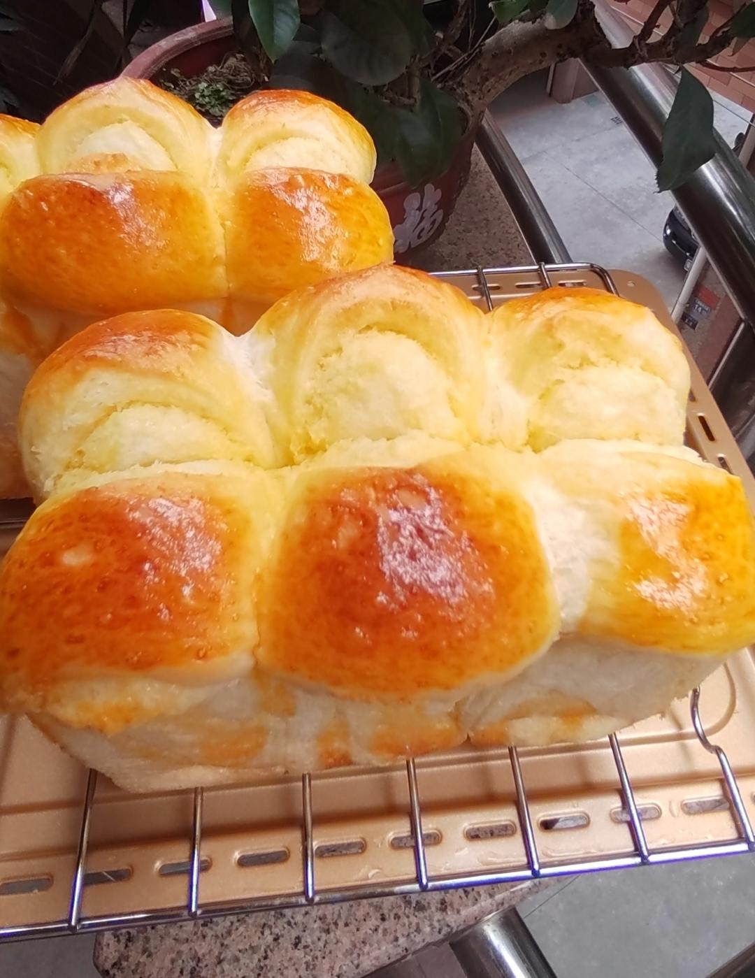 顶级黄金椰蓉吐司