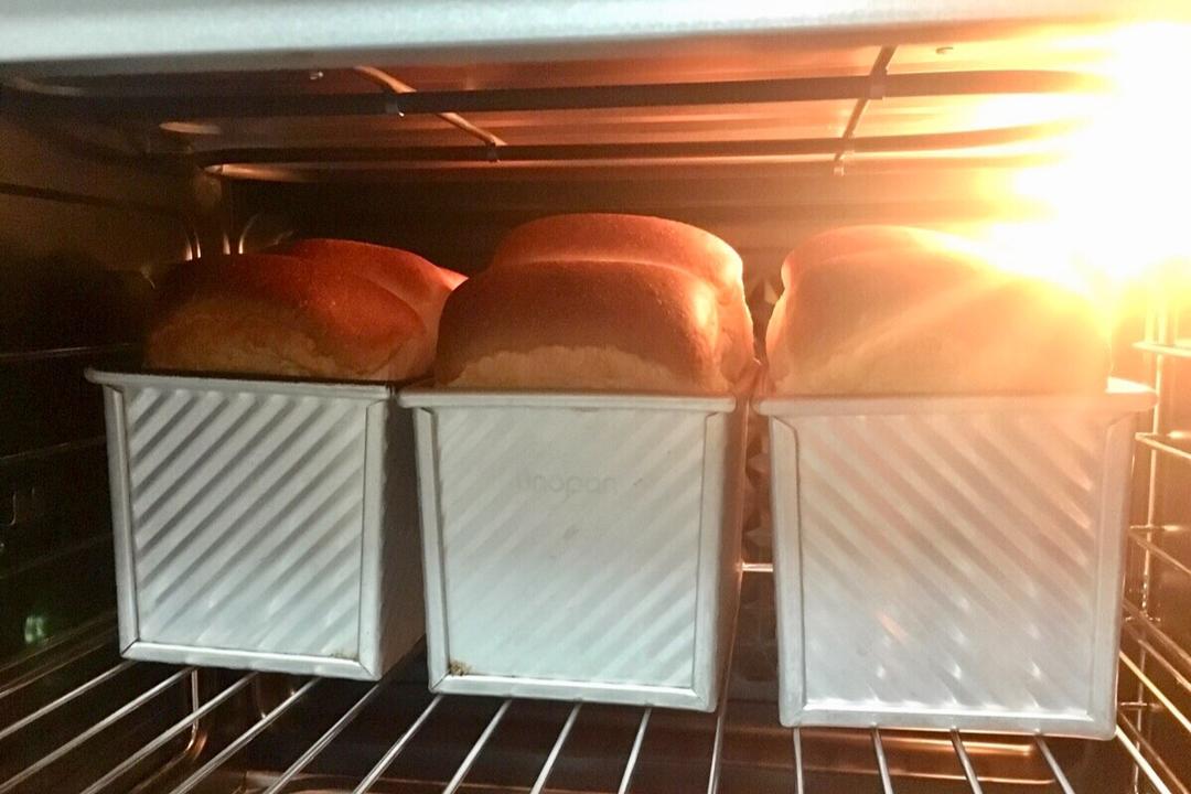 【北海道吐司】体验经典-妃娟100%中种，冷藏冰种的美味