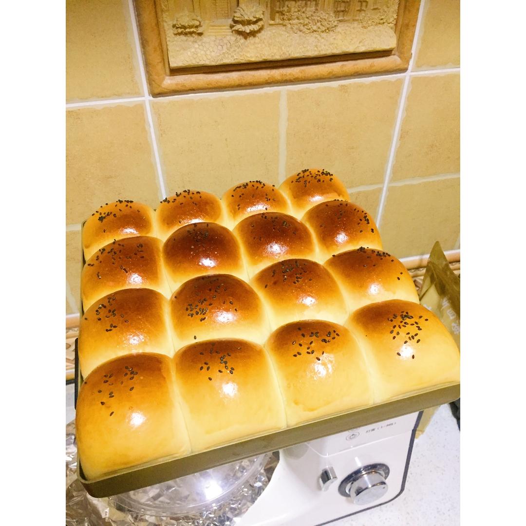 鲜奶油小餐包（一次发酵）
