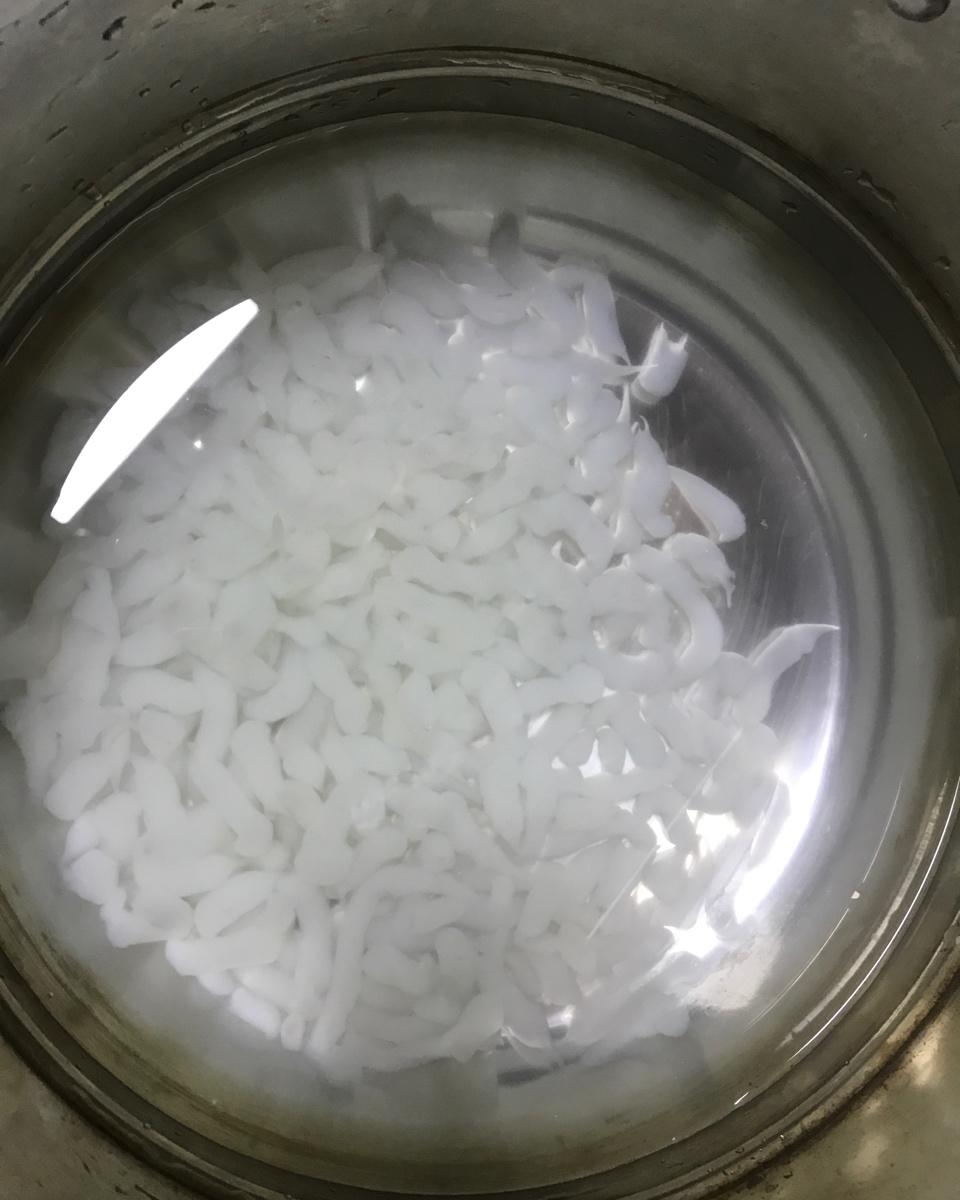 水晶蛙鱼（凉虾）