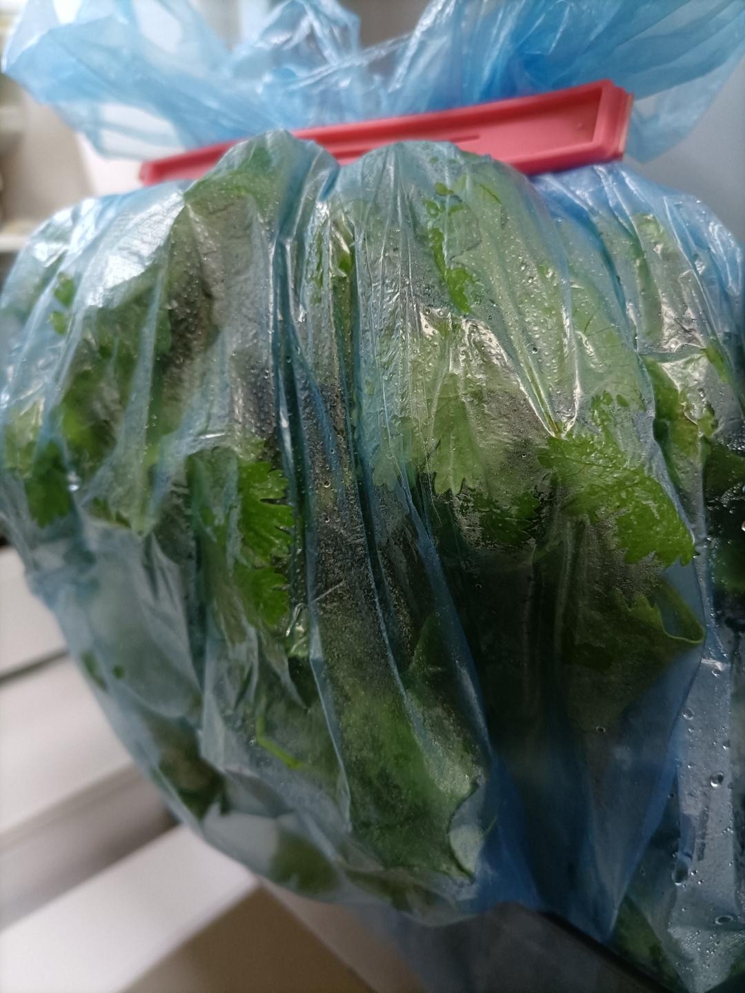 香菜保存方法：放冰箱养