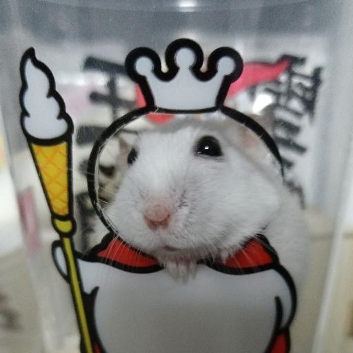 氓奇