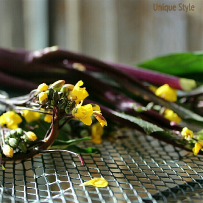 默默做，默默拍，默默秀