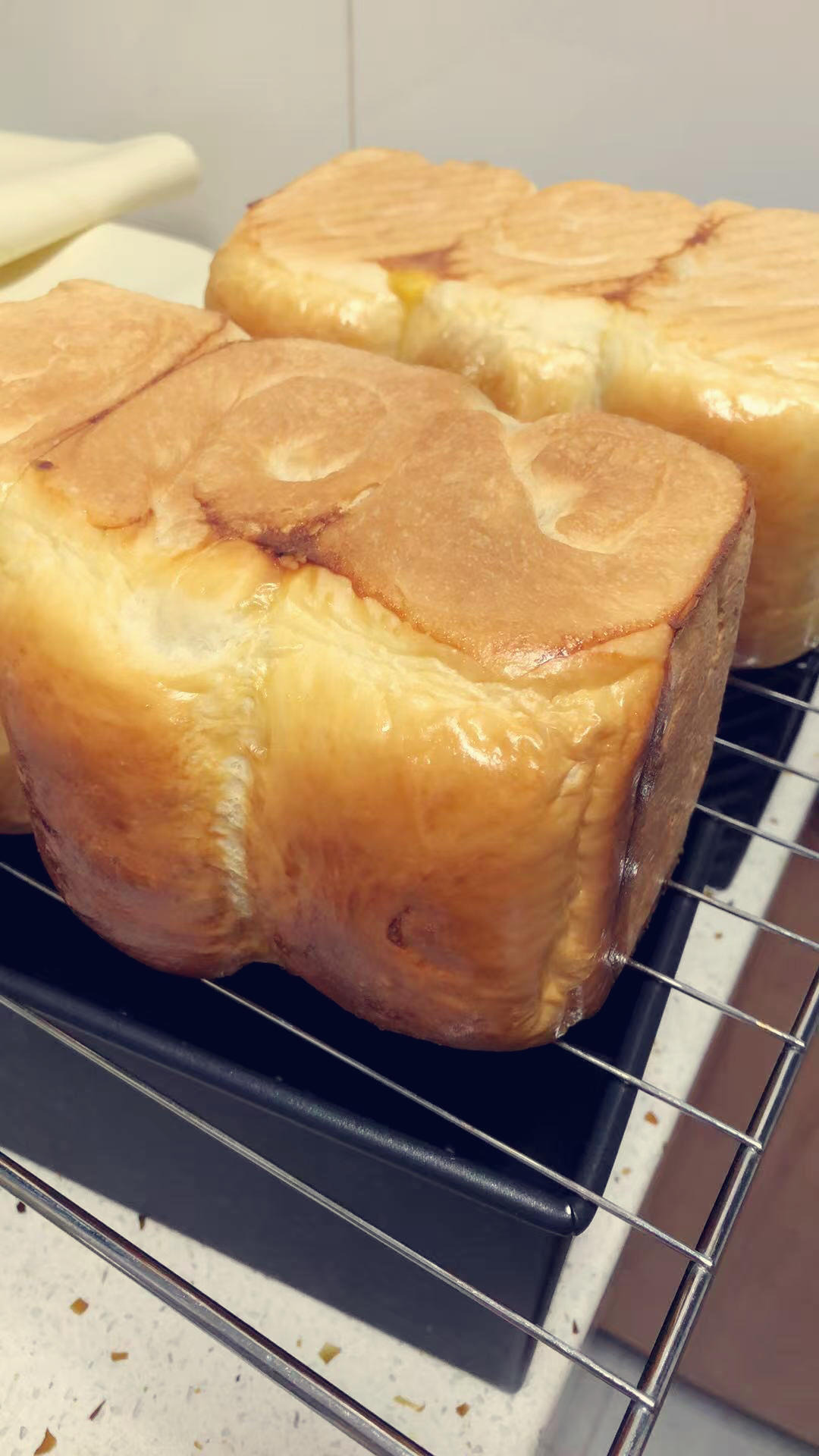 烫种牛奶吐司