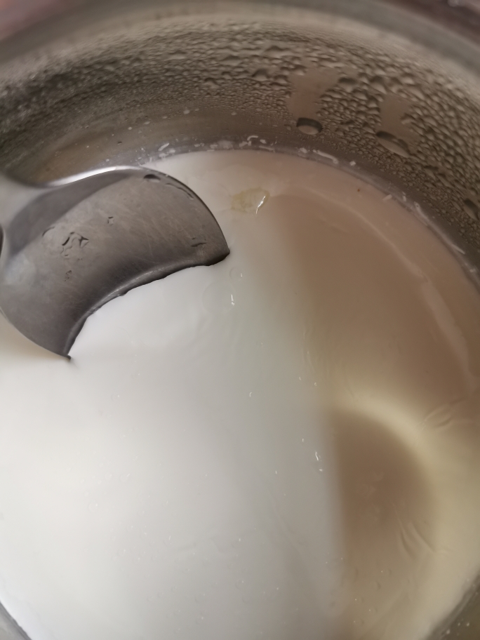 自制菌丝生活酸奶的做法 步骤5