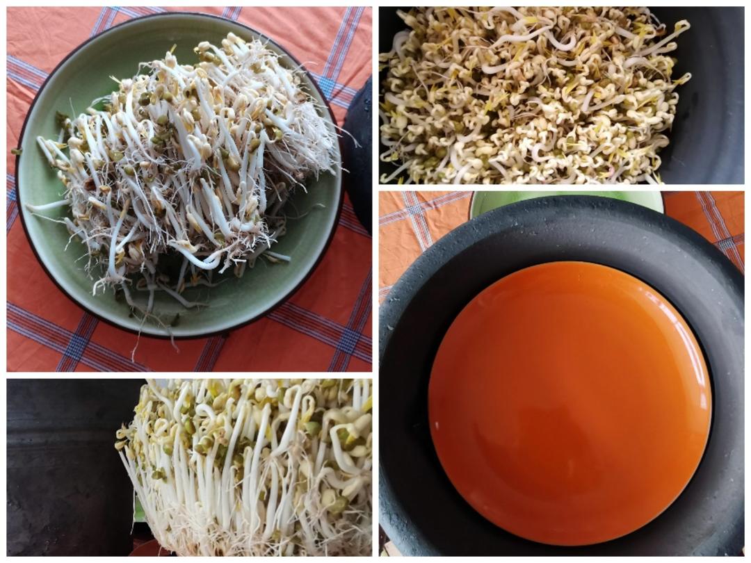 自发绿豆芽