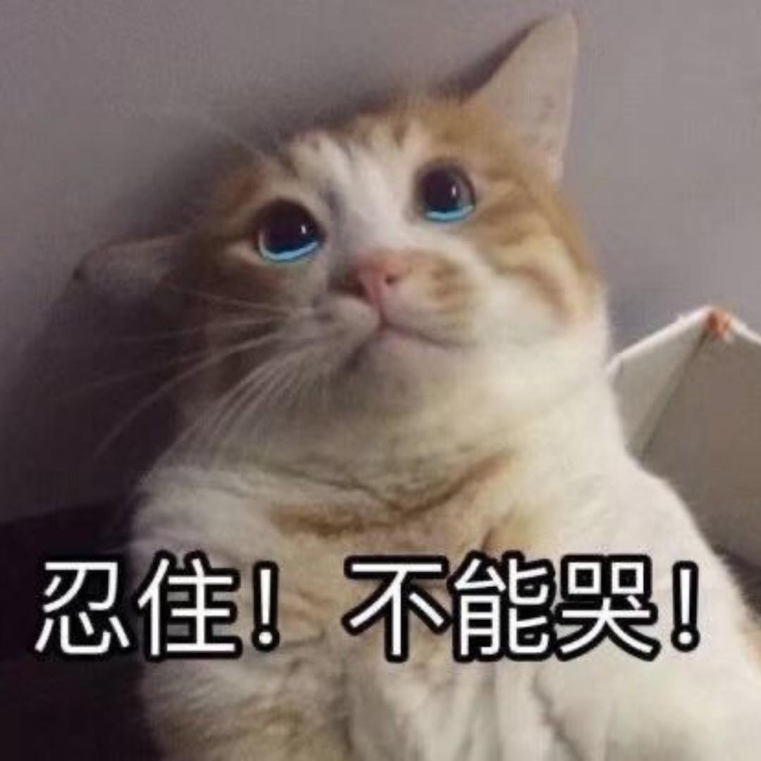 无所事事的月饼