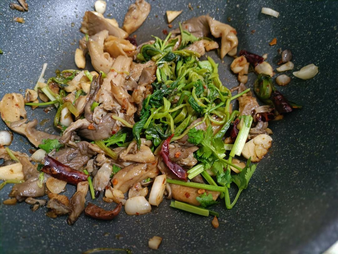 平菇的神仙做法