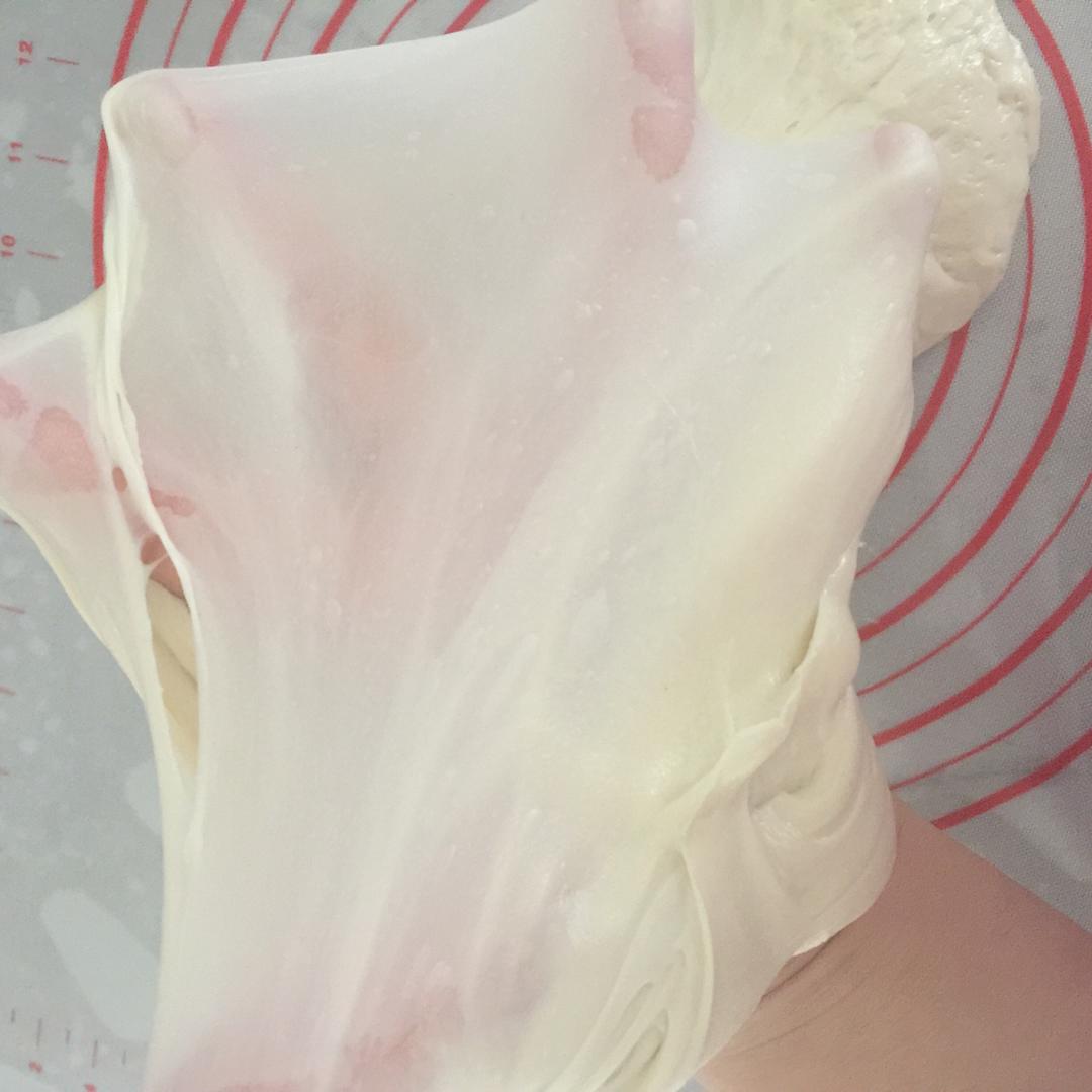 《Tinrry+》蛋黄酥