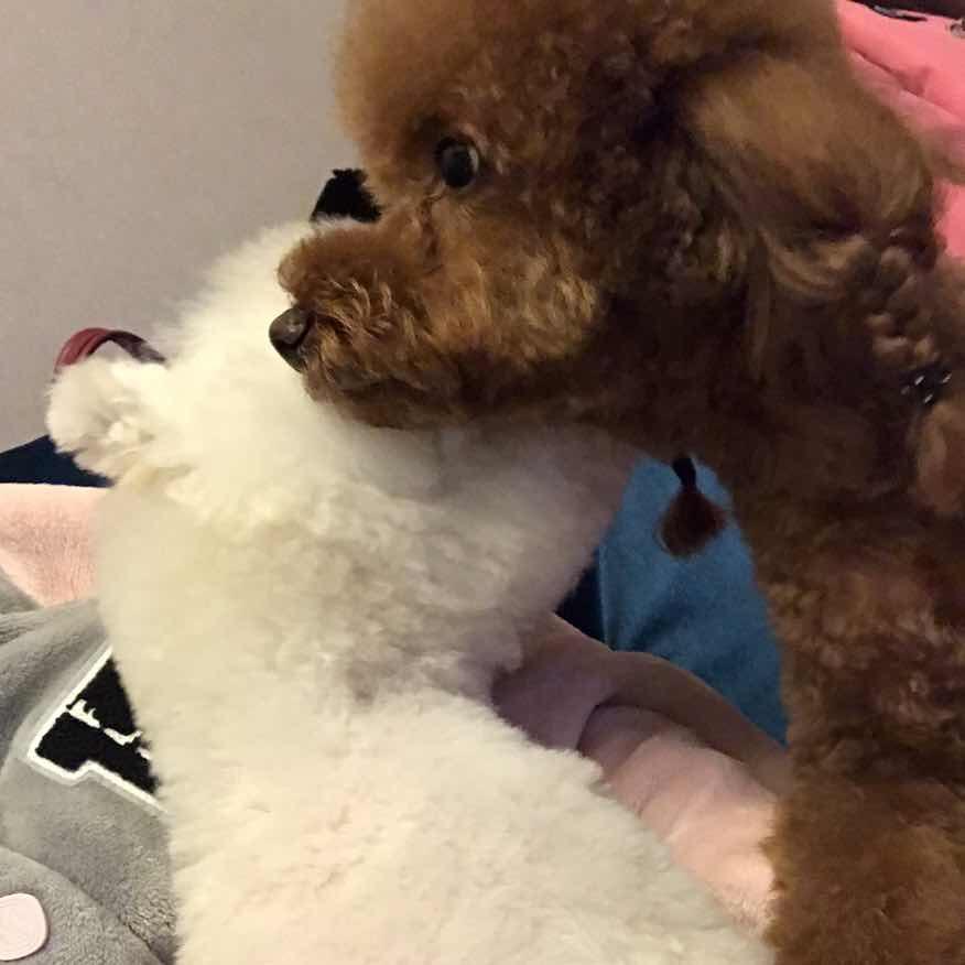 慕慕爱你哟