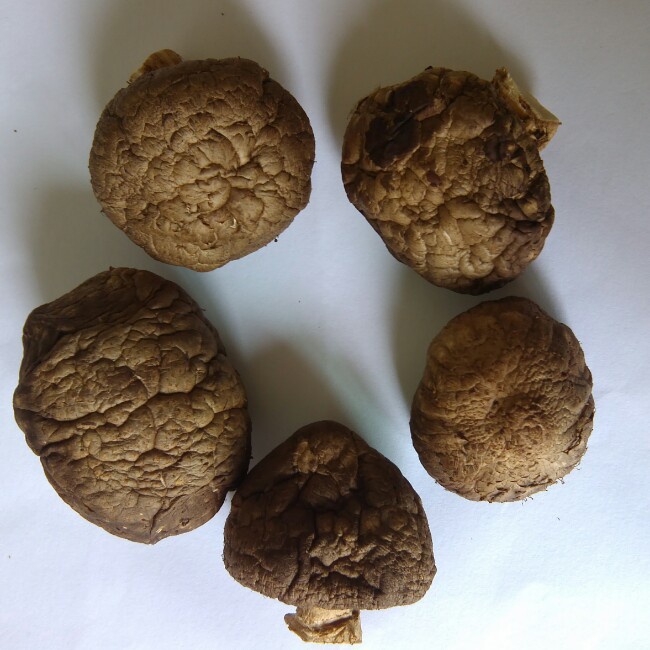 午餐•2014年7月18日