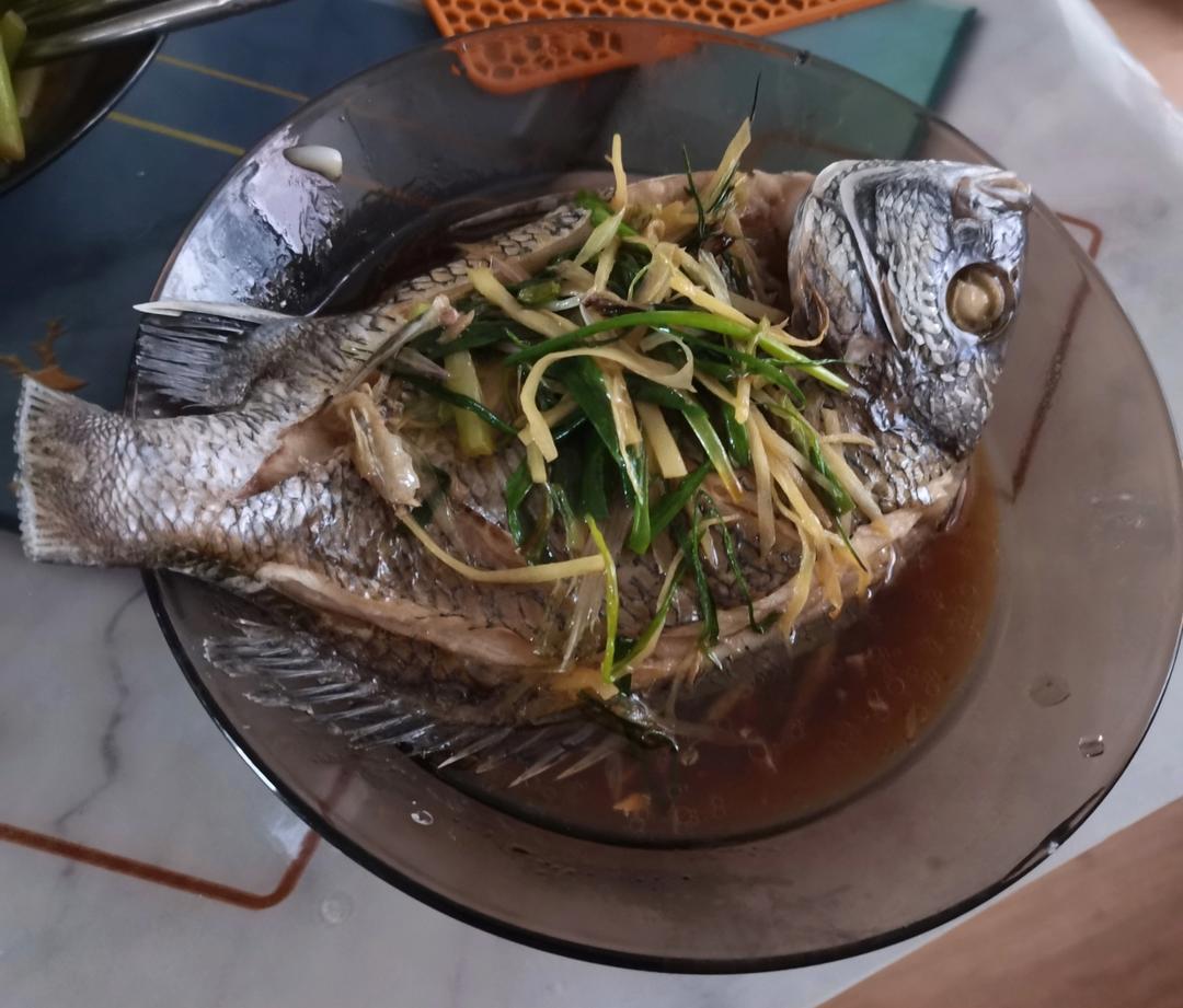 清蒸黑立鱼