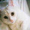 KIT_23tp