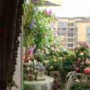 手机用户5582_p2z1的厨房