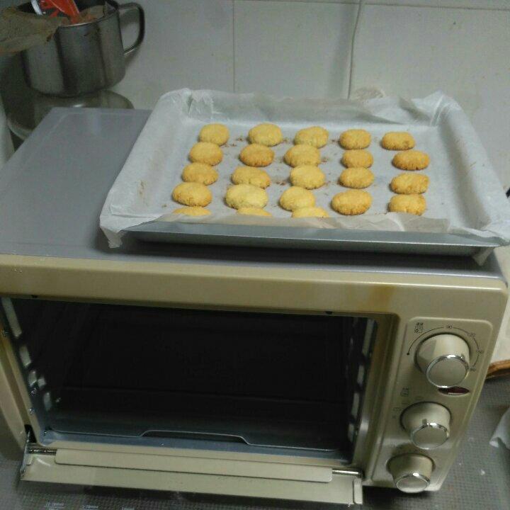 蛋白椰蓉球