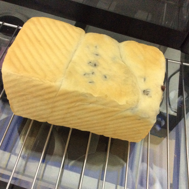 夺命软吐司(๑´ڡ`๑)超软拉丝极速方便的一次发酵吐司