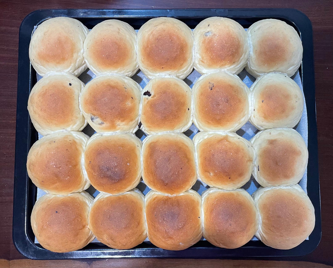 波兰种全麦提子软欧