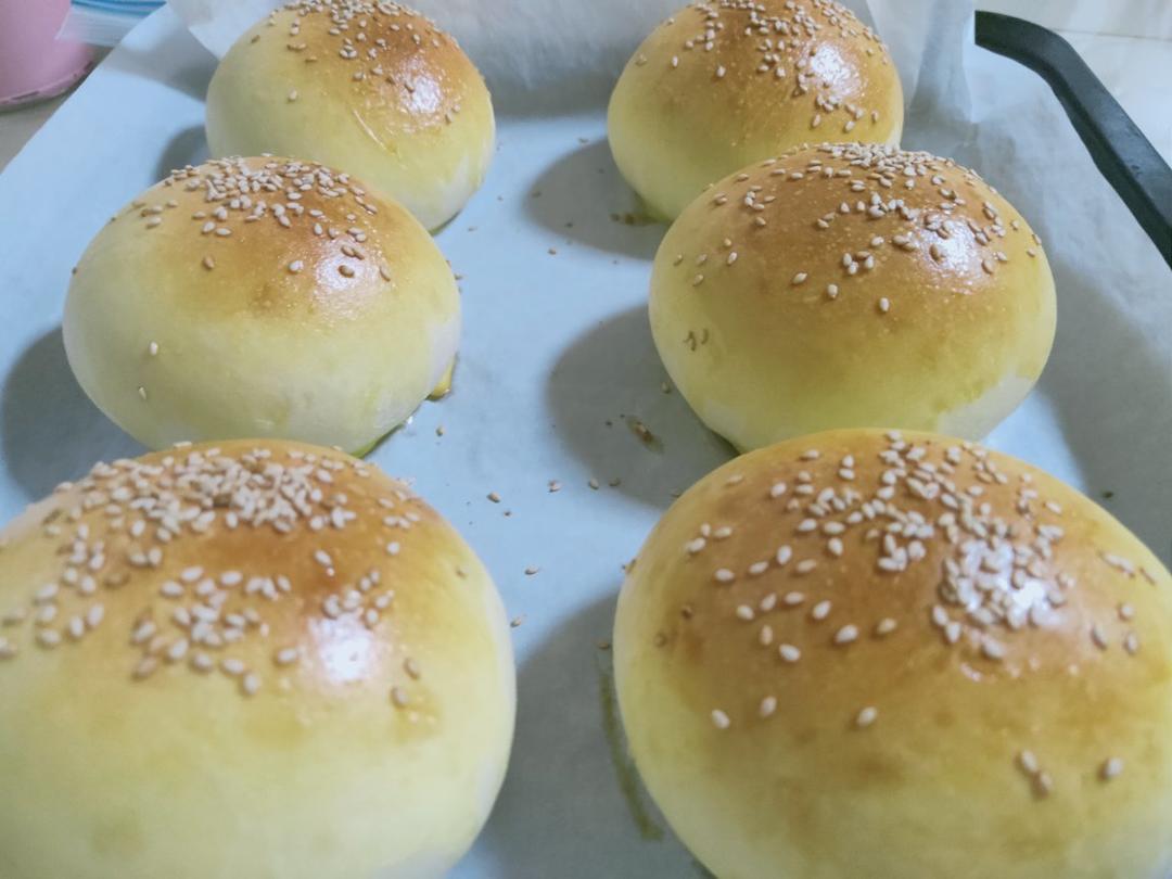 汉堡胚（中种法）